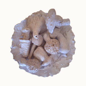 Champignon