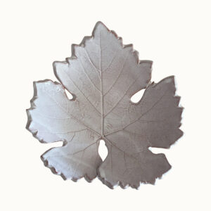 Feuille-vigne